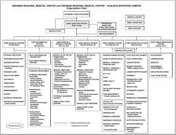 Image Result For Organizational Chart For Assisted Living