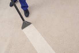 own carpet cleaning business