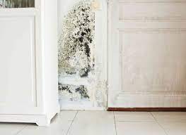 How to Avoid Dangerous Mold Growth in the Laundry Room