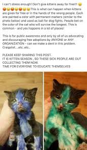 If they do not get. I Can T Stress Enough Don T Give Kittens Away For Free As Are Given For Free Or In The Hands Of The Wrong People Each One Painted A Color With Permanent Markers Similar