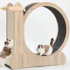 cat wheel 3 in 1 cat exercise wheel