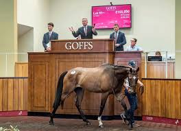 Goffs.herts.sch.uk receives less than 1% of its total traffic. Sharp Increases At Goffs Uk August