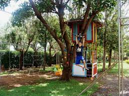 diy backyard zipline a great way to