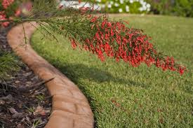 Diy Lawn Edging Ideas For Your Yard Facty