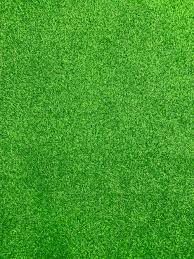Artificial Grass Images Free