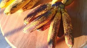 An Overripe Banana Is Very Good For Health Heres Why
