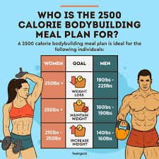 2500 calorie meal plan pdf to promote