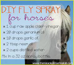 homemade essential oil fly spray for