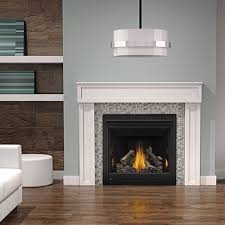 Gas Fireplace Napoleon B36 Direct Vent