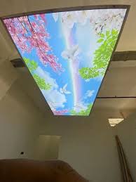 3d infinity ceiling stretch ceilin by