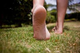 Barefoot Walking on Grass