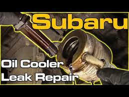 subaru oil cooler leak repair you