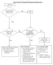 The Flow Chart Standard Operating Procedure Download