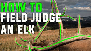 Is there water nearby, or should i haul my own? Deer Scoring The Easy Way How To Field Judge Mule Deer With Mike Eastman Youtube