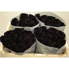 order black roses