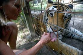 Big cat rescue corp., also known as bcr and previously known as wildlife on easy street, inc., operates an animal sanctuary in hillsborough county, florida, united states, which rescues and houses exotic cats, and rehabilitates injured or orphaned native wild cats. Kirbyville Exotic Cats Face Death If Refuge Does Not Get Donations