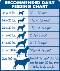 Recommended Feeding Guidelines Dog Feeding Schedule Dog