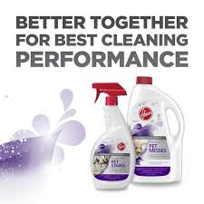 pet messes carpet cleaning solution