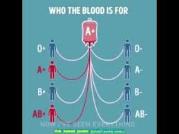 Blood Groups Donors And Receivers