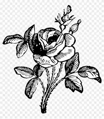 For a pen drawing to look nice, each mark should be drawn with confidence. Large Size Of How To Draw A Simple Easy Rose Drawing Flowers Black And White Png Free Transparent Png Clipart Images Download