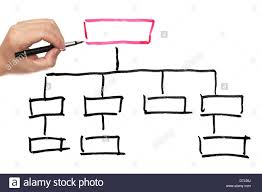 Organization Chart Cut Out Stock Images Pictures Alamy
