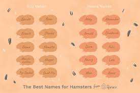 You can choose one of them to use. 100 Names For Pet Hamsters
