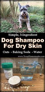 homemade dog shoo for dry skin