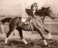 is-the-horse-seabiscuit-still-alive
