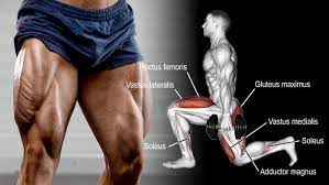 dumbbell leg exercises and workouts for