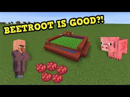 Useful Beetroot Farm Minecraft 1 17