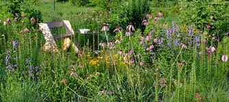 Native Plant Nursery Garden Center