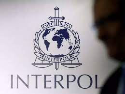 View: How China misuses Interpol to settle domestic scores and stifle  dissidence - The Economic Times