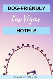 the top pet friendly hotels on the las