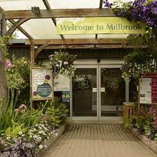 millbrook garden centre crowborough