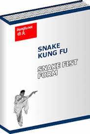 snake kung fu snake fist form
