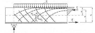 support zone of a flexural beam