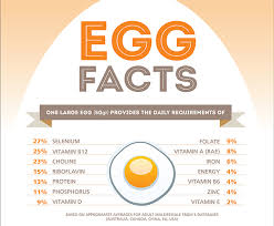 egg white nutrition facts protein