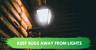 Do Solar Lights Attract Bugs