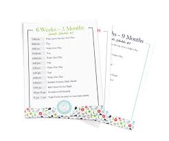 5 Sample Daily Toddler Schedules From Real Moms