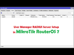 mikrotik user manager radius server