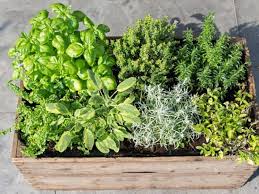 Easy Diy Patio Herb Garden Step By