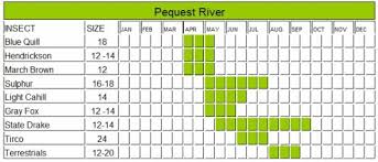 Pequest River Hatch Chart