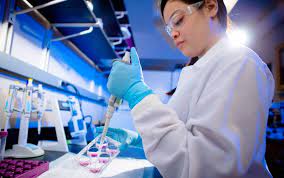 PhD in Medicinal Chemistry - Department of Chemistry - University at Buffalo
