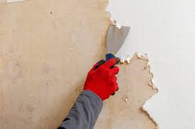 best way to remove wallpaper wagner