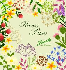 fresh flowers background colorful