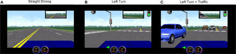 Frontiers | Brain activity during driving with distraction: an immersive fMRI study