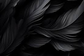 premium photo black feathers background
