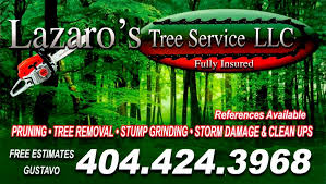 Upload, livestream, and create your own videos, all in hd. The 10 Best Tree Services In Decatur Ga With Free Estimates