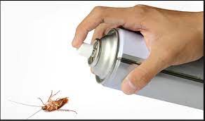 tips on getting rid of roaches from