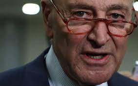 Schumer was speaking with onenychatv host saundrea who asked him. What Is Chuck Schumer Doing The Nation